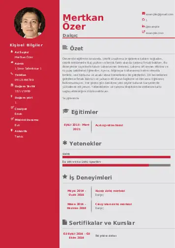 Dalgıç CV Örnekleri cv indir